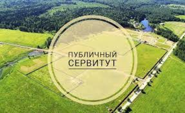Публичный серветут