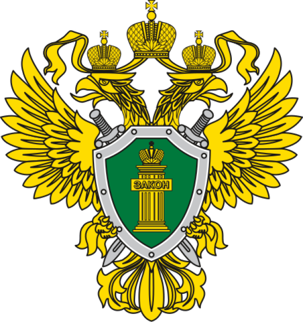 Противодействие преступности несовершеннолетних